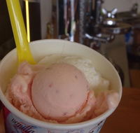 Bermagui Gelati Clinic - Accommodation QLD