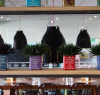 Collegians Balgownie - Accommodation QLD