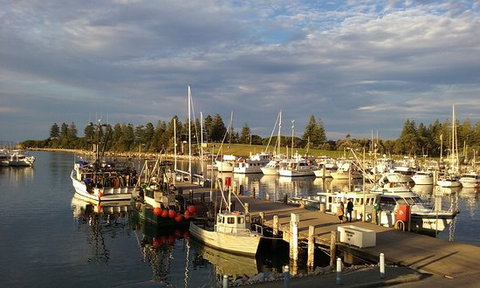 Horse & Camel - Accommodation QLD 0