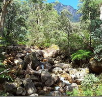 Star Chinese Restaurant - Accommodation QLD