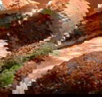 Familiar Takeaway - Accommodation QLD