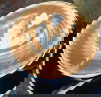 Salty Beardman - Accommodation QLD