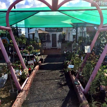 Gilgandra NSW Accommodation QLD