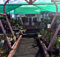 The Next Grind - Accommodation QLD