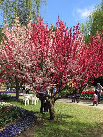 Ngunnawal ACT Accommodation QLD