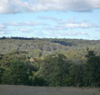 U Saucey Thing - Accommodation QLD