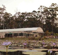 Abundance Cafe and Garden Centre - Accommodation QLD
