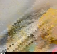 Champs Bistro - Accommodation QLD