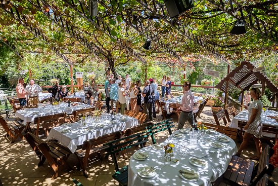 Woolomin NSW Accommodation QLD