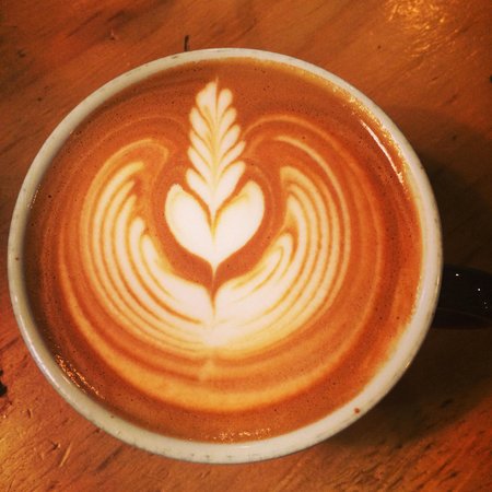 Port Macquarie NSW Accommodation QLD