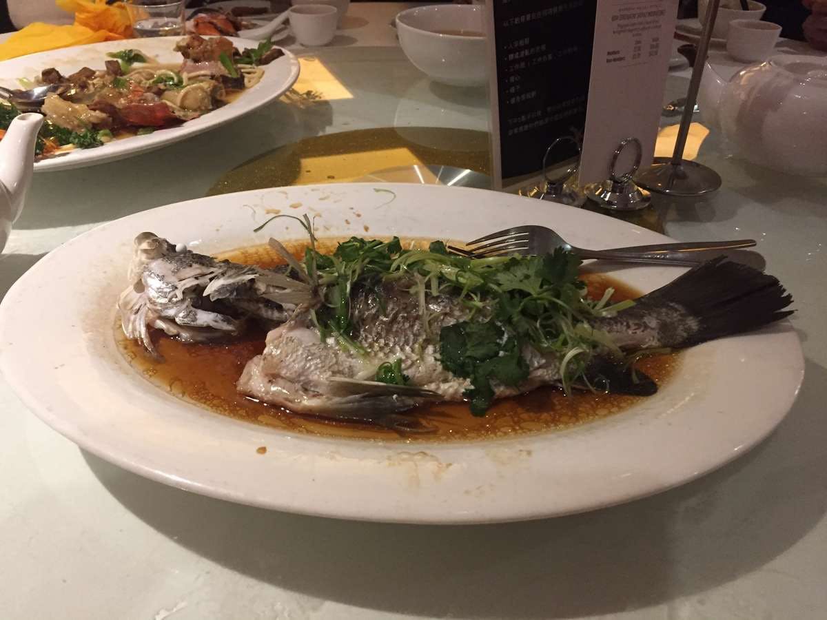 West Ryde NSW Accommodation QLD