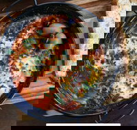 Shuk - Elizabeth Bay - Accommodation QLD