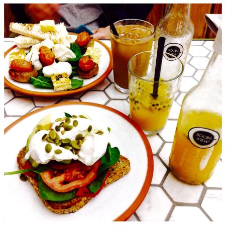 Social Brew Burleigh - Accommodation QLD 0