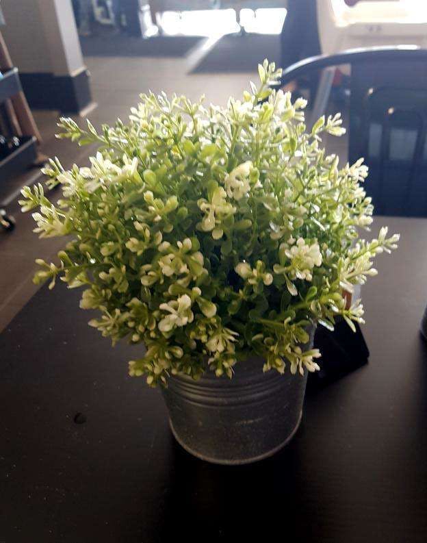 Mount Richon WA Accommodation QLD