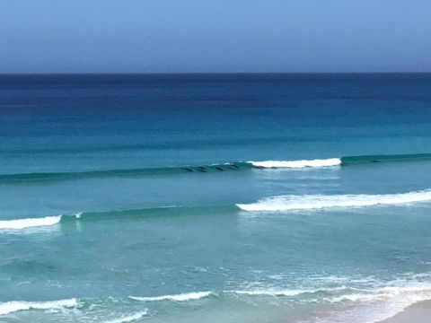 Beach Barista - Accommodation QLD 1