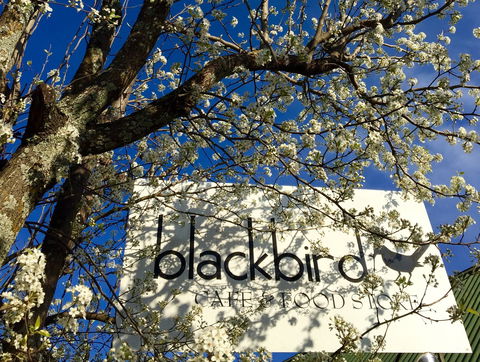 Blackbird Cafe - Accommodation QLD 2