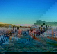 Eastern Peake Winery - Accommodation QLD