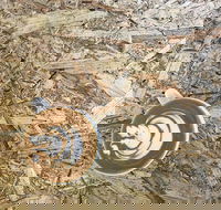 Salt. Coffee Roasters - Accommodation QLD