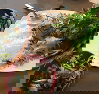 Thien An - Accommodation QLD