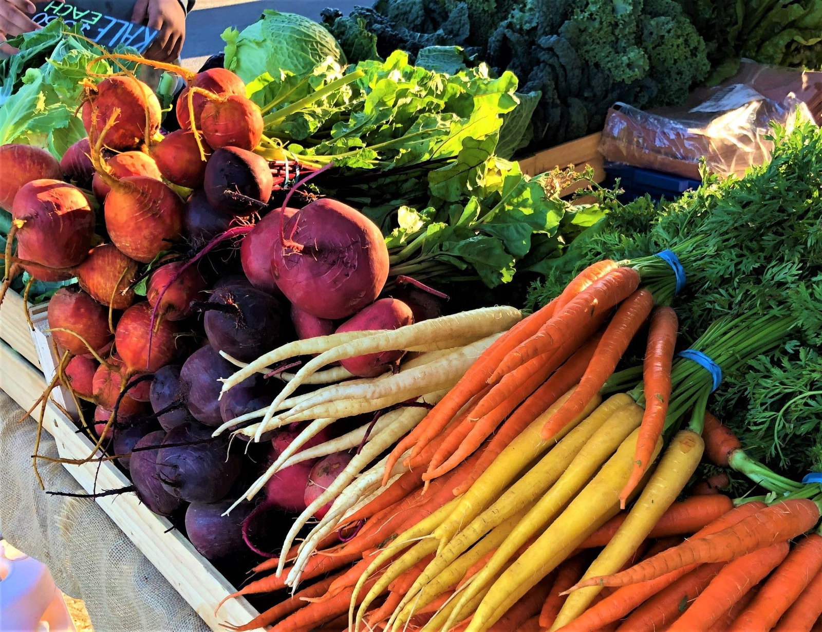 Angaston SA Accommodation QLD