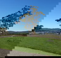 Nepenthe Wines - Accommodation QLD