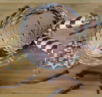 PN's Daily Scoop - Accommodation QLD