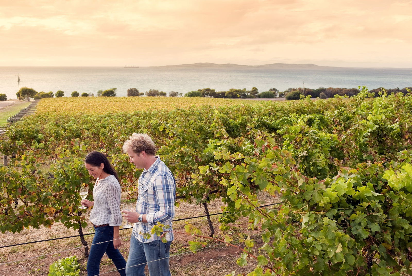 Poonindie SA Accommodation QLD