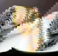 Imperial Kebabs - Accommodation QLD