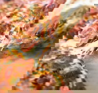 Pizza Rustica - Accommodation QLD