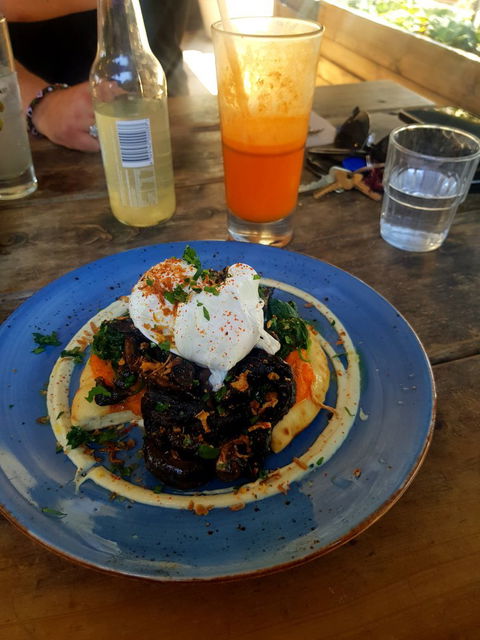 Mister Sunshine's - Accommodation QLD 6