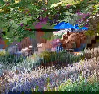 Macquariedale Organic Wines - Accommodation QLD