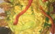 Thai Place - thumb 0