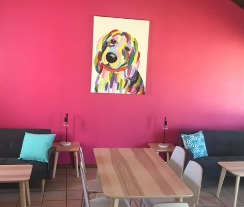 The Fat Beagle Coffee Shop - Accommodation QLD 0