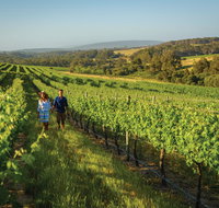Wills Domain - Accommodation QLD