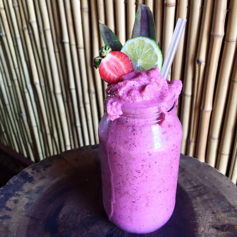 Jungle - Accommodation QLD 0