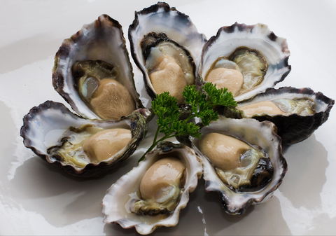 Tathra Oysters - Accommodation QLD 0