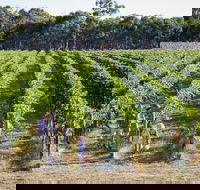 Weathercraft Wines - Accommodation QLD