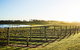 Wine Terrace And Cellar Door At Pt Leo Estate - thumb 0