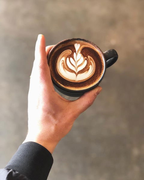 Buddy Espresso - Accommodation QLD 0