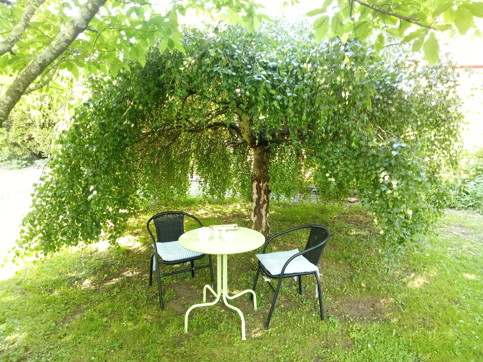 Mole Creek TAS Accommodation QLD