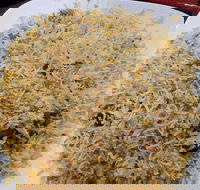 Man-O-Salwa - Clayton - Accommodation QLD