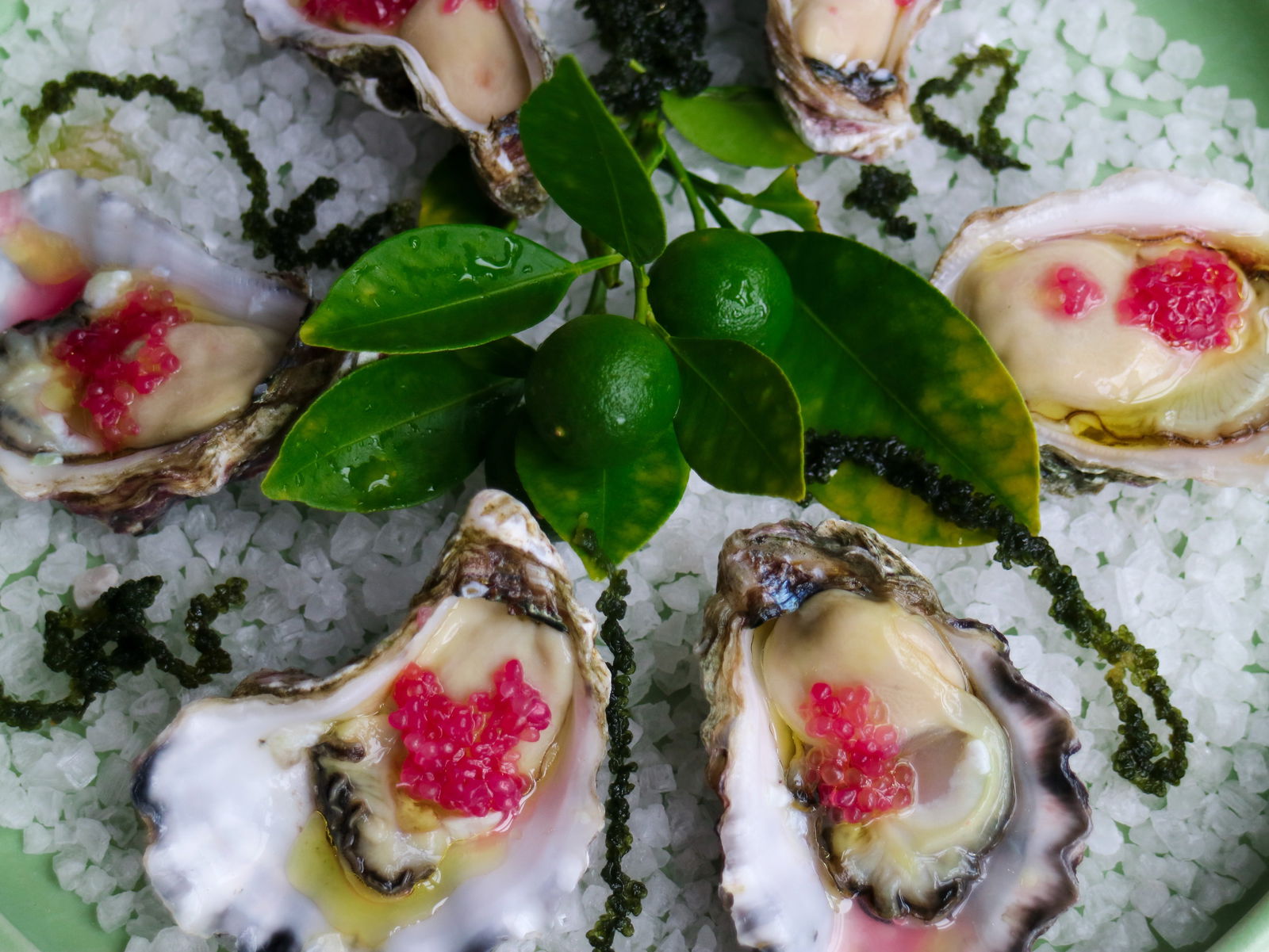 Werri Beach NSW Accommodation QLD