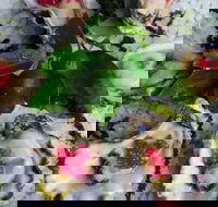 Bella Char Restaurant  Wine Bar - Accommodation QLD