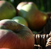 Denmark Heritage Cider Company - Accommodation QLD