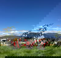 Red Feet Wines - Accommodation QLD