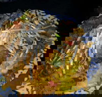 Blue Orchid Thai - Accommodation QLD