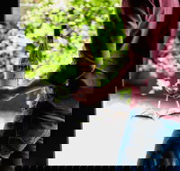 Giant Steps Cellar Door - Accommodation QLD