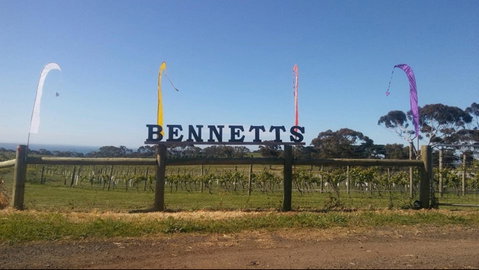 Bennetts On Bellarine Winery - Accommodation QLD 1