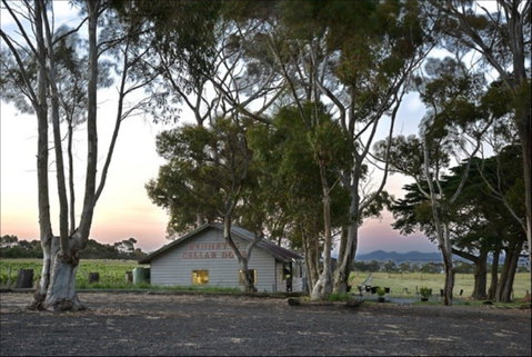 Bennetts On Bellarine Winery - Accommodation QLD 2