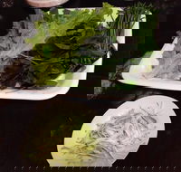 Noodle Haven - Accommodation QLD